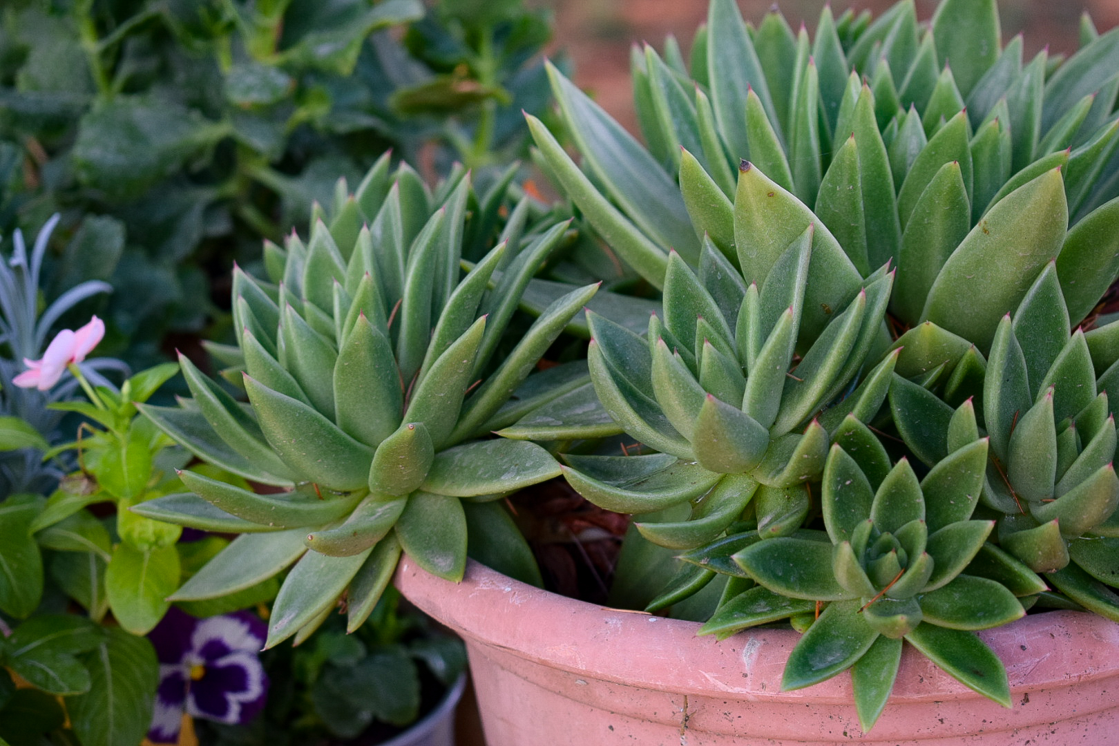 Copertina del progetto Raccolta di prova_16 gennaio_G